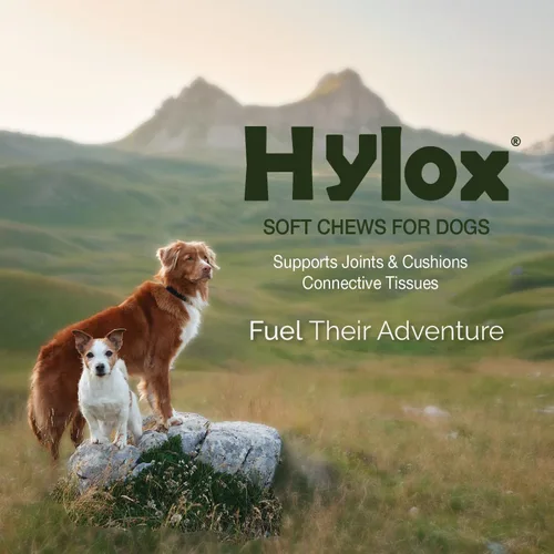 Vista 2 de Hylox - Masticables suaves para perros, soporte articular con glucosamina, MSM, creatina, ácido hialurónico, cúrcuma, EPA y DHA, soporta
