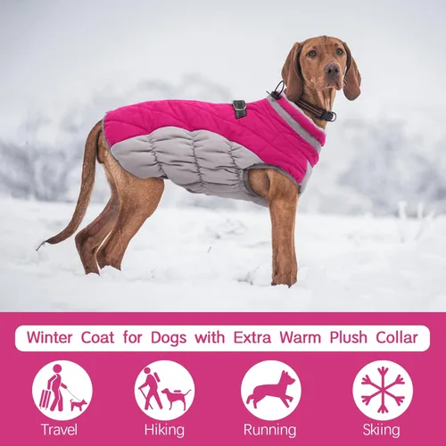 Vista 3 de FUAMEY - Abrigo para perro, chaqueta cálida de invierno, acolchada, chaleco reflectante con arnés, chaqueta de nieve impermeable con cremallera, a