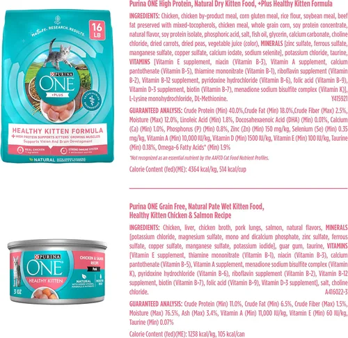 Vista 2 de Purina ONE Alimento seco natural para gatitos y comida húmeda para gatitos, paquete de fórmula saludable para gatitos +Plus