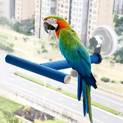 FlidRunest Soporte de perca móvil para pájaros con ventosa para ventana, espejo, automóvil, ducha, arenas de cuarzo, soporte de perca de