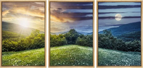 Vista 50 de Lienzo de 3 piezas, arte contemporáneo, decoración de pared moderna, cascada y flores