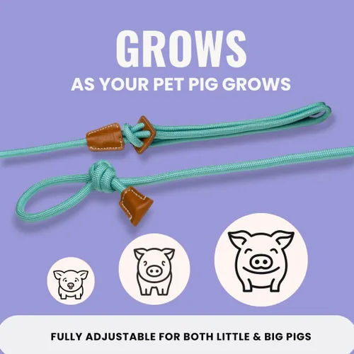 Vista 3 de PORCINE® Arnés y correa para mini cerdo (S/M) – Totalmente ajustable, correa de estilo infinito, arnés de paso, suministros de barriga, todo en uno