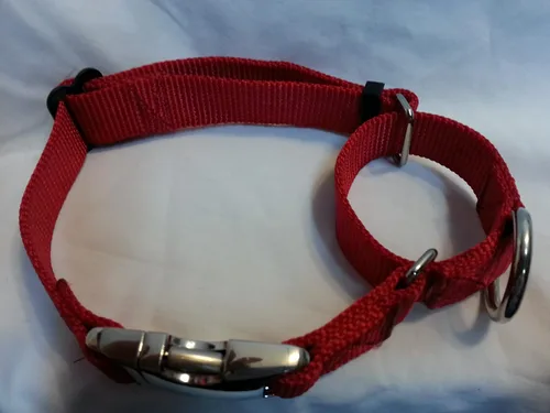 Vista 8 de Carter Pet Supply Martingale Dog Collar METAL BUCKLES Greyhound Training Collar (Large, YELLOW)