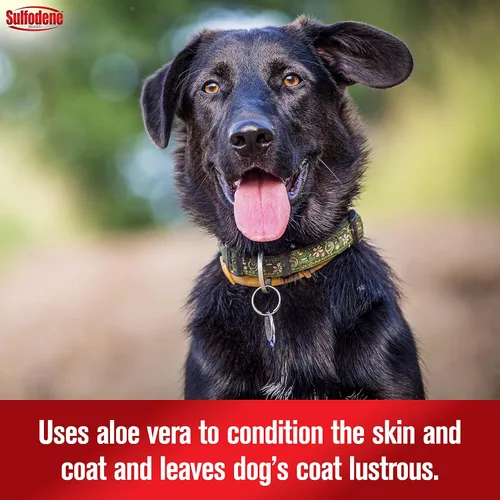 Vista 5 de Farnam Sulfodene Champú y acondicionador medicado para perros 12oz, blanco