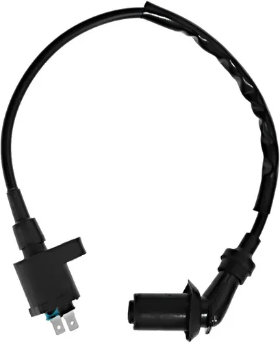 Vista 5 de Saihisday Bobina de encendido + caja CDI para Honda TRX250X FourTrax 250 1987 1988 1989 1990 1991 1992