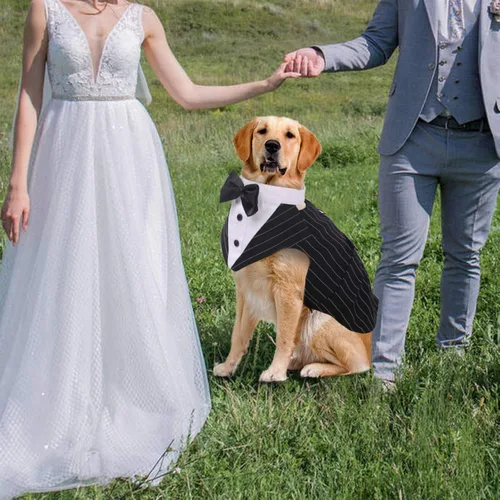 Vista 7 de IDOMIK Traje de esmoquin para perro, vestido formal con corbatines desmontables, juego de bufanda bandana, tamaño ajustable para perros pequeños a