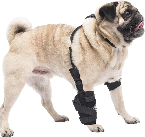 Caldera Pet Therapy - Carpal/codo universal con gel, pequeño, color negro (PET105)