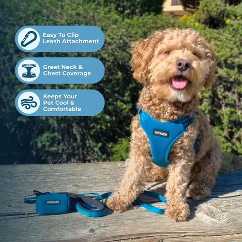 Vista 6 de [Usado] Best Pet Supplies Voyager - Arnés ajustable, transpirable, antitirones, para perros pequeños, medianos y grandes, para caminar, trotar