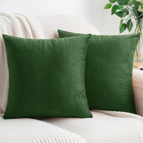 Vista 29 de HWY 50 Juego de 2 fundas de almohada de terciopelo de 18 x 18 pulgadas Verde azulado