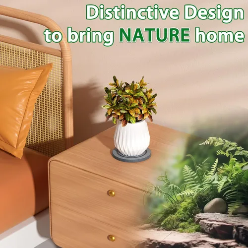 Vista 5 de Platillo para plantas, platillos para macetas, bandejas para macetas de tierra de diatomeas de secado instantáneo, bandejas redondas para goteo de 2