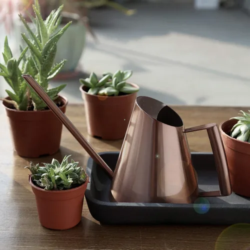 Vista 7 de Suculenta lata de agua de boquilla larga de cobre para plantas de interior, regadera larga y estrecha para interiores, bonsái de interior, flor