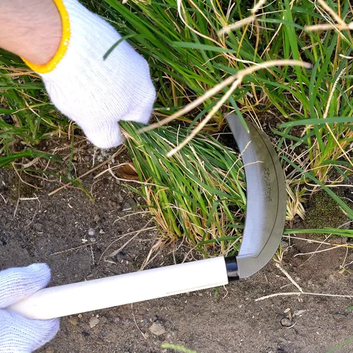 Vista 2 de KAKURI Herramienta de jardín de hoz de hierba 7.6", hoz de deshierbe de Kama estilo japonés, hoja de acero inoxidable