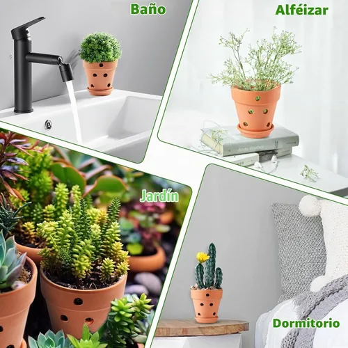 Vista 5 de Juego de 6 macetas de orquídea de terracota de 4 pulgadas