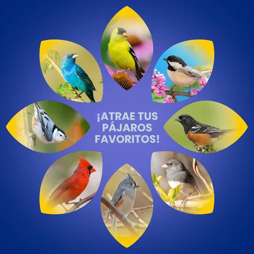 Vista 6 de Audubon Park Extreme Variety - Semillas de aves silvestres para comederos exteriores, bolsa de 15 libras