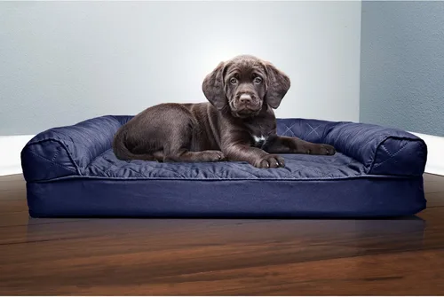 Vista 182 de Furhaven - Cama ortopédica para perros, estilo sofá, acolchada, con funda extraíble y lavable, color gris hierro, tamaño jumbo plus (XXL)