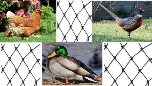 Vista 3 de Red para aviario de malla resistente anudada de 2 pulgadas para aves de corral (12.5 pies x 150 pies)