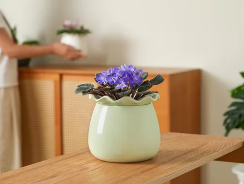 Vista 7 de Fayoula Maceta de riego automático, mantenimiento de macetas de violeta africana de 6 pulgadas, maceta de cerámica con riego automático para plantas