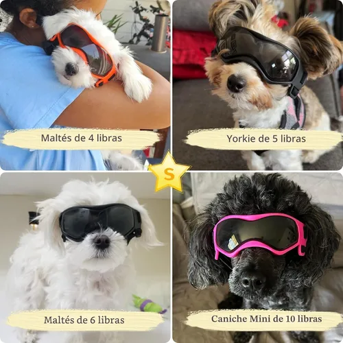 Vista 9 de Gafas de sol para perros de raza pequeña, XS, lentes de sol para perros chihuahua, protección contra los ojos UV para mascotas pequeñas, perros Negro