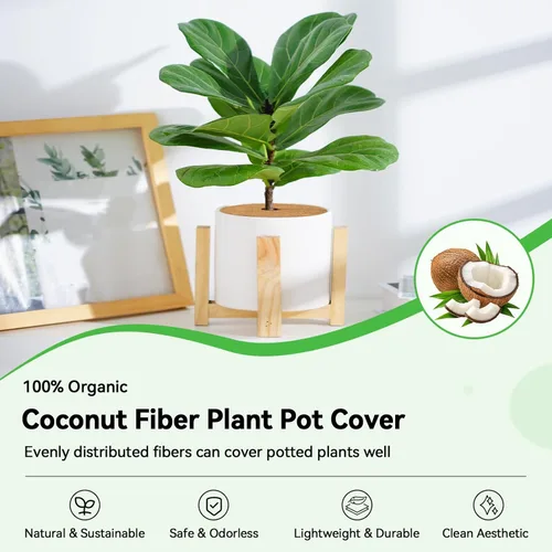 Vista 2 de ZeeDix Paquete de 3 anillos de mantillo de fibra de coco, 11.8 pulgadas de fibra de coco, tapete de mantillo de árbol de coco 100% natural