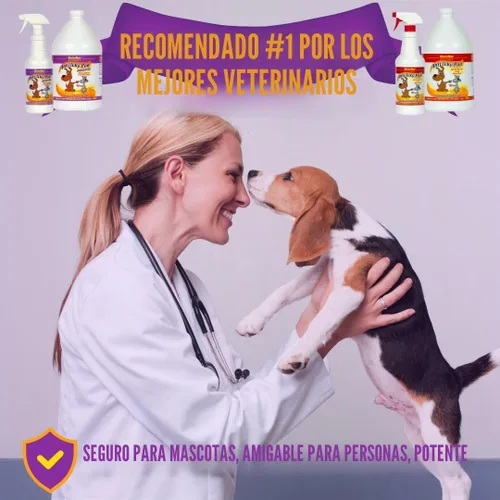 Vista 4 de Mister Max Anti Icky Poo neutralizador de olor sin aroma, 1 galón