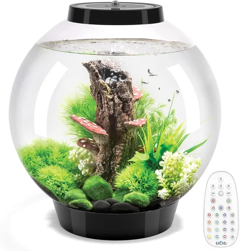 Vista 17 de biOrb Classic 15 Acrílico - Acuario de 4 galones con luces LED blancas - Tanque moderno y compacto para exhibición sobre mesa o escritorio, tanque