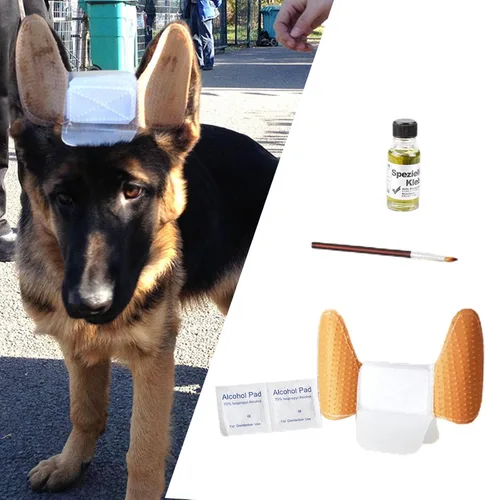 Vista 2 de Gazechimp 1 juego de calcomanías especiales para orejas de cachorro, con cepillo corrector de pie para cachorros samoyedo alemán gran danés, L