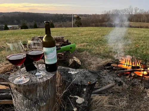 Vista 4 de YOURS Non-Alcoholic Wine Alternativa de vino premiada premium, sin alcohol y fruta de monje endulzada - Botella de 25.4 fl oz