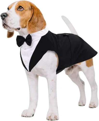 Vista 22 de Conjunto de esmoquin para perro Kuoser, traje de esmoquin y bandana para perros, traje de boda para perros, camisa con corbatín para perrito