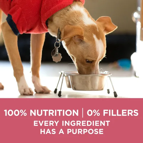 Vista 7 de Purina ONE Alimento seco natural para perros con estómago sensible, fórmula +Plus para piel y pelaje, bolsa de 16.5 libras