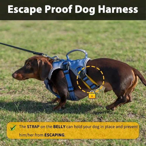 Vista 3 de Huntboo - Arnés para perro a prueba de escape, arnés reflectante con asa, duradero, chaleco ajustable para perros pequeños, medianos y grandes