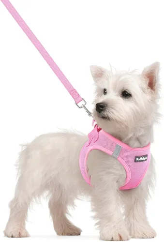 Vista 46 de rabbitgoo Juego de arnés para perro, tamaño pequeño y correa, chaleco ligero suave para cachorro, arnés de malla transpirable para mascotas, Negro