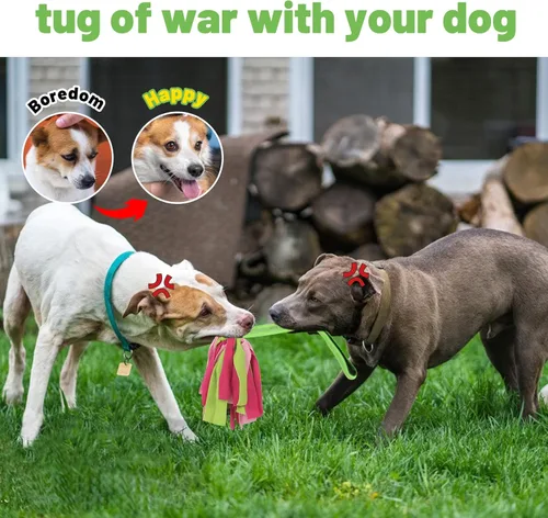 Vista 6 de wodoca Juguetes interactivos para perros, juguetes de cuerda para perros para masticadores agresivos, juguetes resistentes para perros de tira