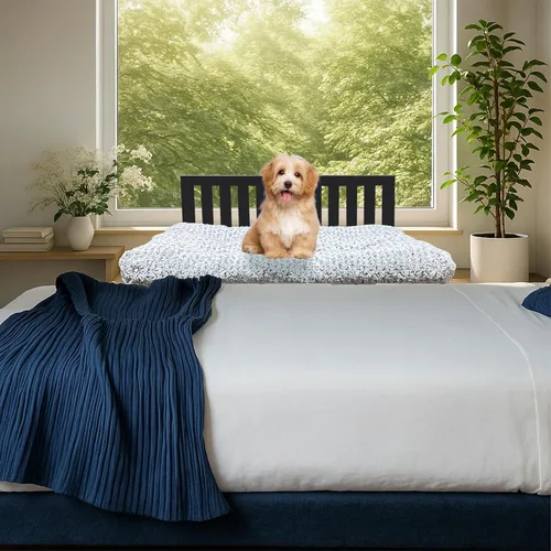 Vista 7 de Beside - Cama para perro, literas para perros de altura ajustable, marco de cama de metal para perros con cojín, tamaño mediano