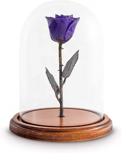 Vista 11 de Forever Rose Rosa encantada en cúpula de cristal, rosa preservada de borgoña real con tallo de cobre y base de madera, regalo romántico inspirado