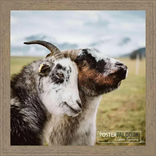 Vista 5 de Poster Palooza 3x3 Inch Rustic Walnut Complete Wood Square Picture Frame with UV Acrylic Plexiglass, Foam Board Backing & Hardware Included - 3x3