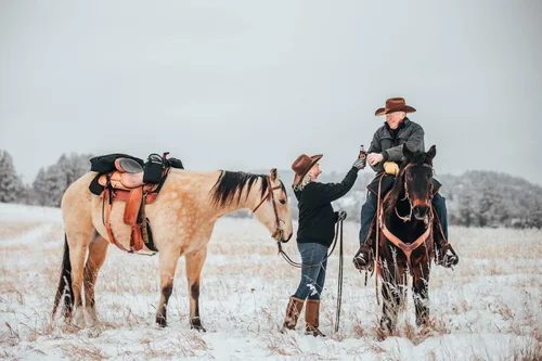 Vista 8 de TrailMax Bolsas de sillín de cuerno grandes; bolsas de sillín de cuerno para caballos; bolsas de sillín para montar en senderos para sillines