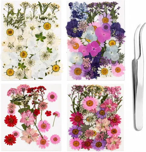 Vista 10 de 80 piezas de flores prensadas para resina con pinzas curvadas 80 piezas multicolor surtidas