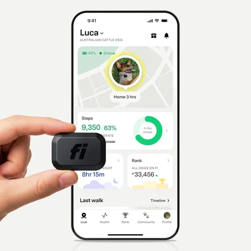 Fi Mini rastreador GPS para perros, membresía de 6 meses incluida, accesorio inteligente para collar de seguimiento de mascotas, ligero, cercas