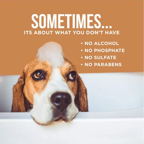 Vista 5 de Natural Rapport Spray desodorante para perros, el único aerosol de baño que los perros necesitan, el spray natural de colonia para gatos y perros