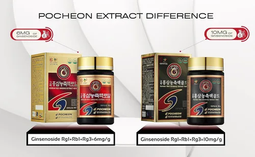 Vista 6 de Pocheon 240g (8.5oz), 100% puro coreano 6 años raíz Panax extracto de ginseng rojo oro, ginsenósido superior, saponina, suplemento de hierbas