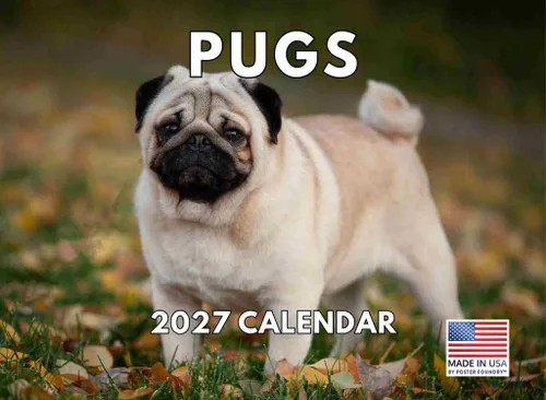 Vista 48 de Calendario de pared mensual 2025 Great Dane de 12 meses, fabricado en Estados Unidos
