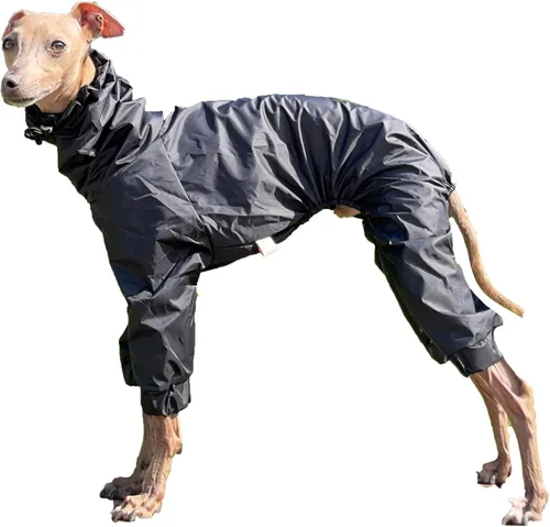Vista 57 de D Doggy Star - Ropa de galgos italianos, enterizo elástico de neón para primavera y verano (talla S, naranja Onsi)