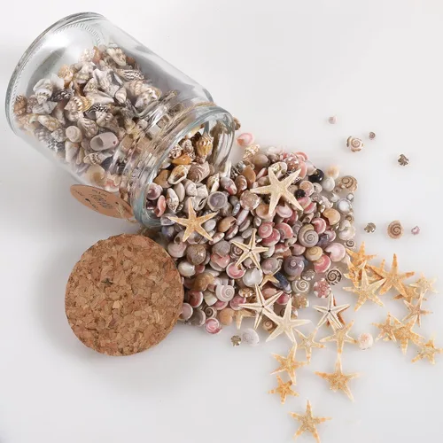 Vista 4 de PPCLION 60 piezas de estrellas de mar pequeñas 1800 piezas de conchas de mar pequeñas mini para manualidades caracolas espirales para manualidades