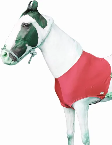 Vista 10 de Majestic Ally Protector y protección de hombro de caballo de elastano/elastano elástico en 4 direcciones (L, negro)