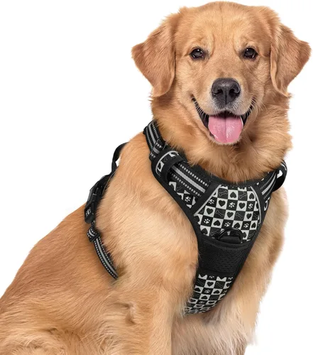 Vista 130 de Rabbitgoo - Arnés para perros sin tirón con 2 clips de correa, chaleco Oxford reflectante acolchado suave ajustable sin estrangulamiento para Beige