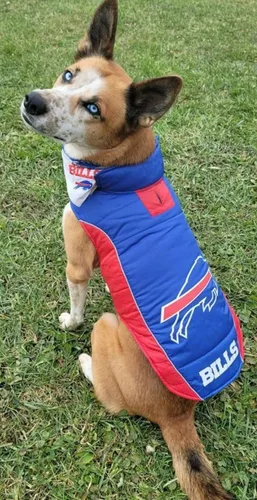 Vista 2 de NFL Buffalo Bills Chaleco acolchado para perros y gatos, talla S. Abrigo cálido, acogedor e impermeable, para perros y gatos pequeños y grandes. La