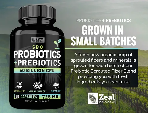 Vista 5 de Probióticos y prebióticos + probióticos SBO (60 mil millones de UFC 90 cápsulas) Probiótico Acidophilus con Saccharomyces Boulardii