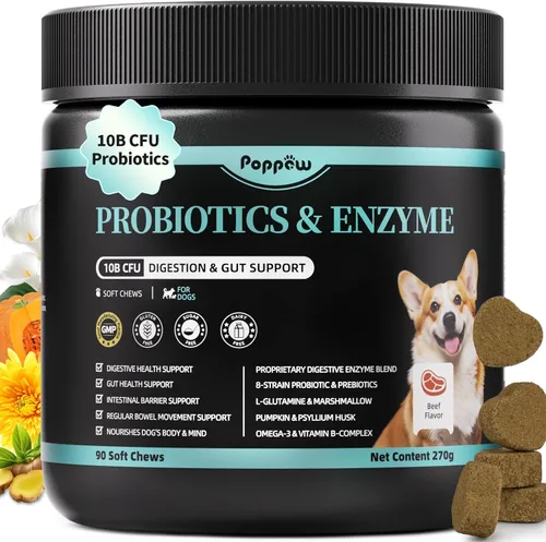 Probióticos para perros, enzimas digestivas para apoyo a la salud intestinal, suplemento de fibra para perros con calabaza para diarrea y apoyo