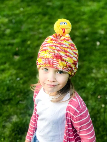 Vista 3 de Lion Brand Yarn Sesame Street One Hat Wonder - Ovillo de lana (tamaño grande, 2 unidades)