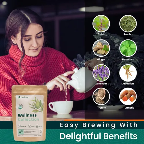 Vista 6 de Herbaly Wellness Collection Té orgánico de jengibre de hierbas, 2.47 oz, bolsa de 28 unidades (paquete de 1)